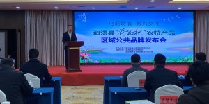 泗洪县“荷花村”农特产品区域公共品牌发布会圆满结束
