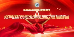 自力更生·团结协作 修风国药集团增收增效高层峰会胜利召开