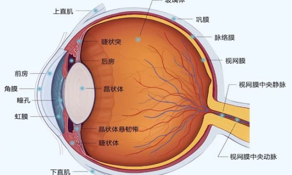 忽略这件事，致盲危险可能找上门——合肥爱尔眼科