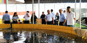 四川甘洛：加大科技投入 东西部协作水产养殖结硕果